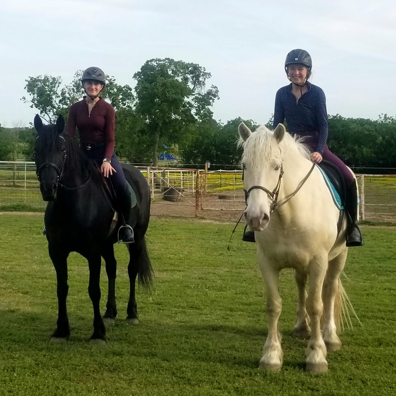 Spring/Fall Biweekly Horseback Riding Subscription