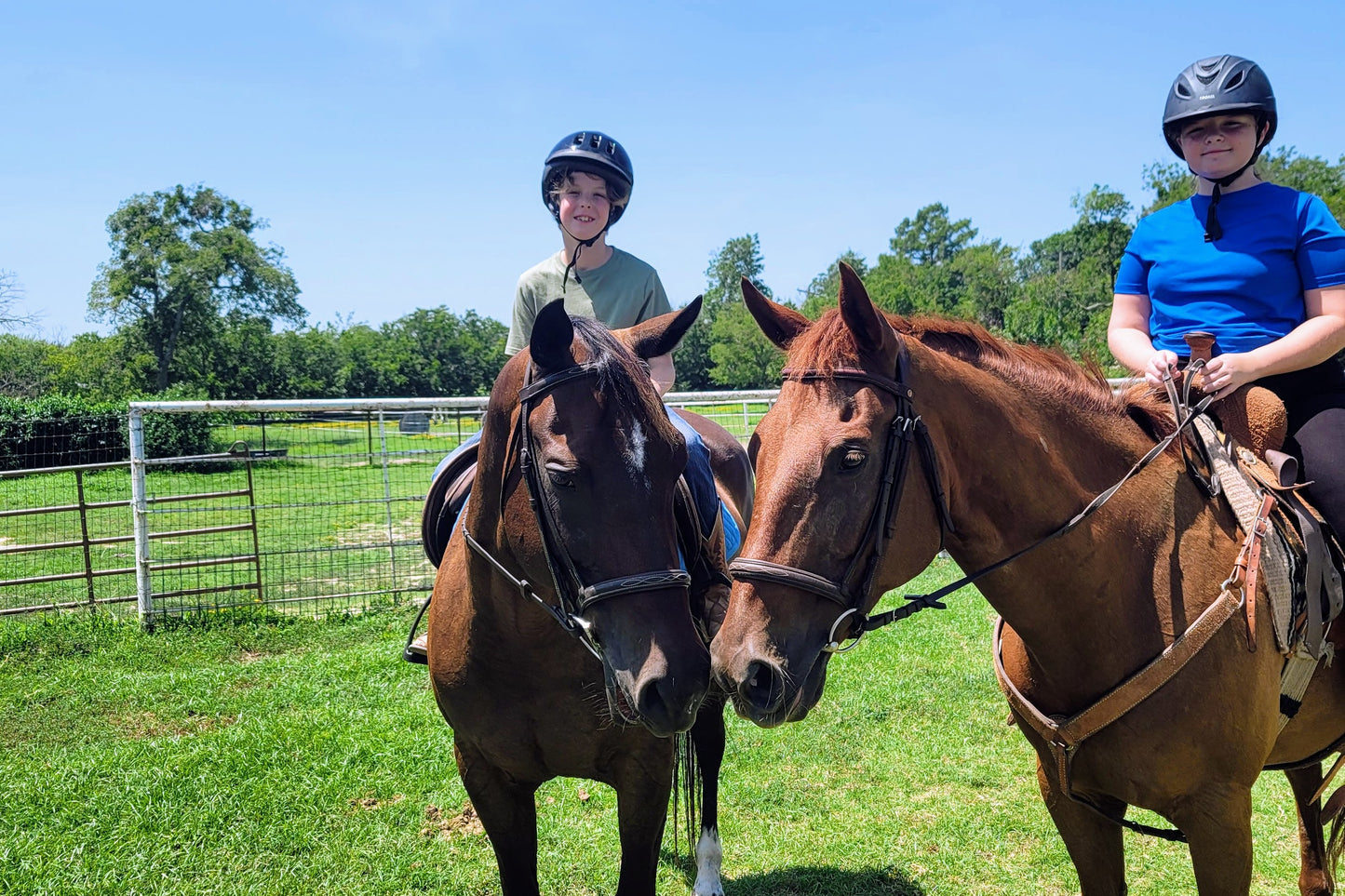 Summer Horseback Riding Subscription for Current Students