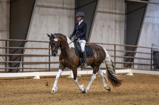 Schooling Or Showing Client's Horse