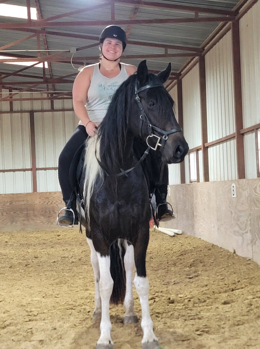 Experienced Horseback Riding Lesson