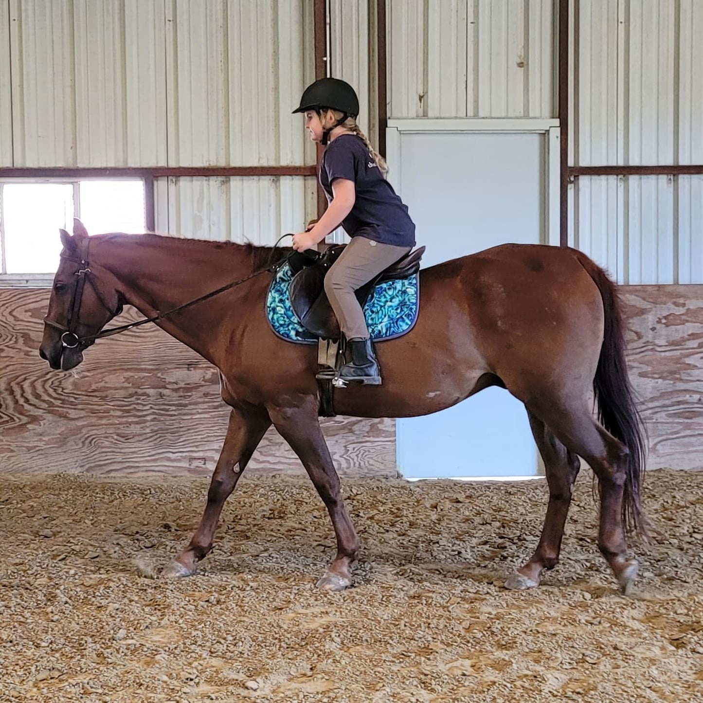 Beginner Horse Riding Lessons