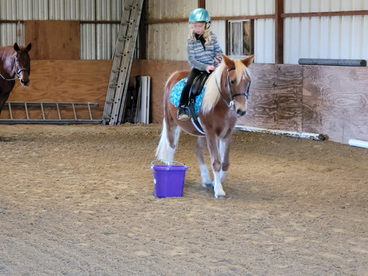 Beginner Horse Riding Lessons