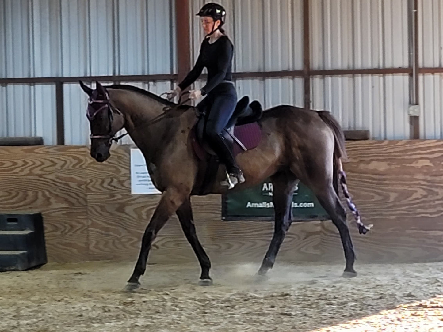 Spring/Fall Biweekly Horseback Riding Subscription