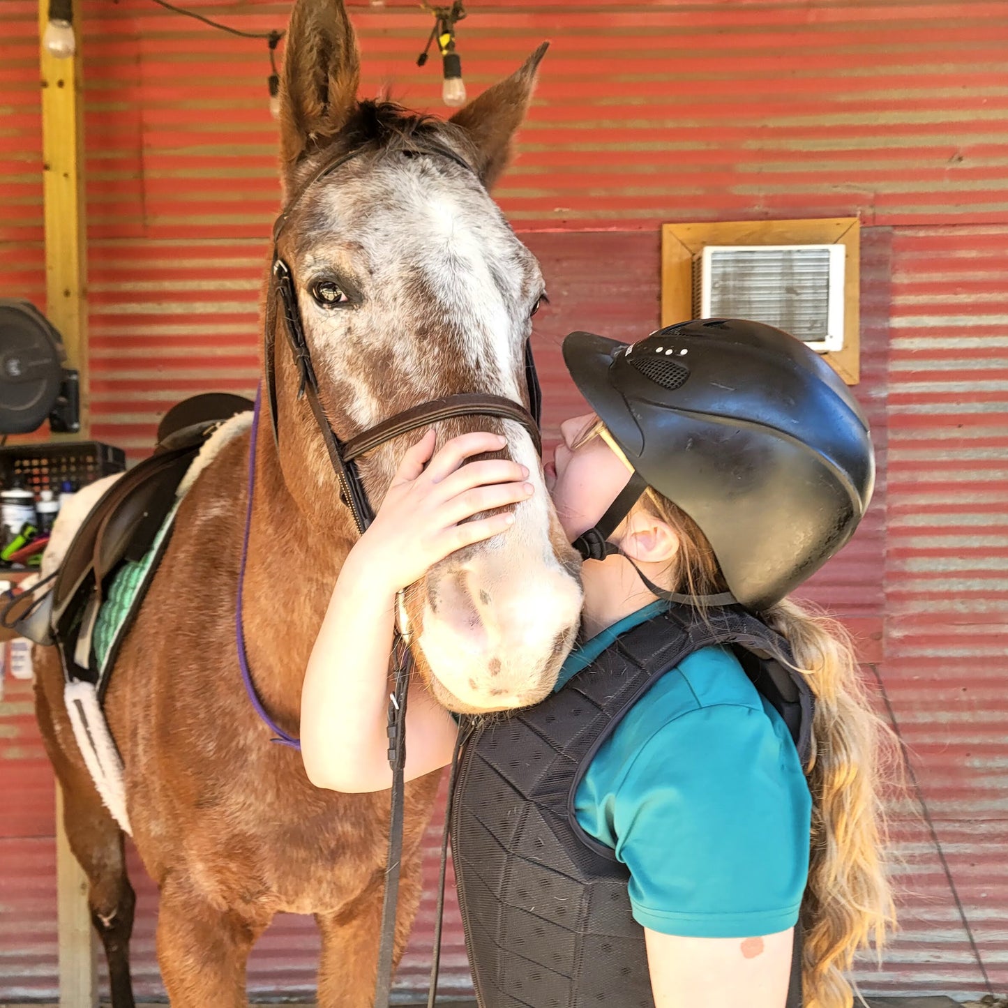 60 Minute Horseback Riding Lesson