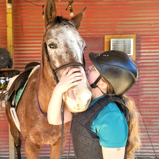 60 Minute Horseback Riding Lesson