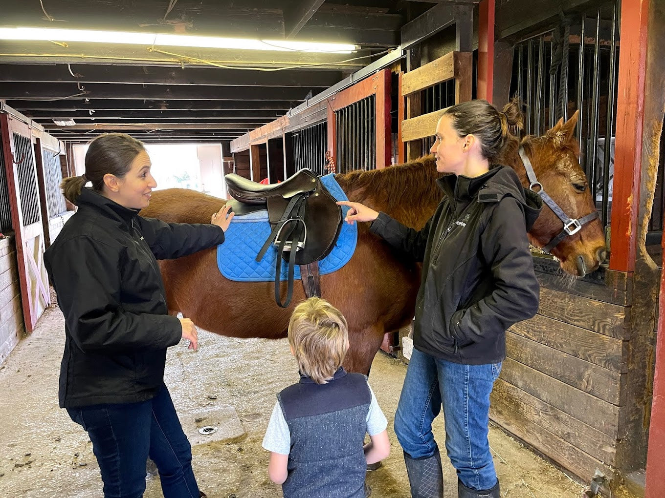 Horseback Riding Assessment Lesson – Foretold Heights